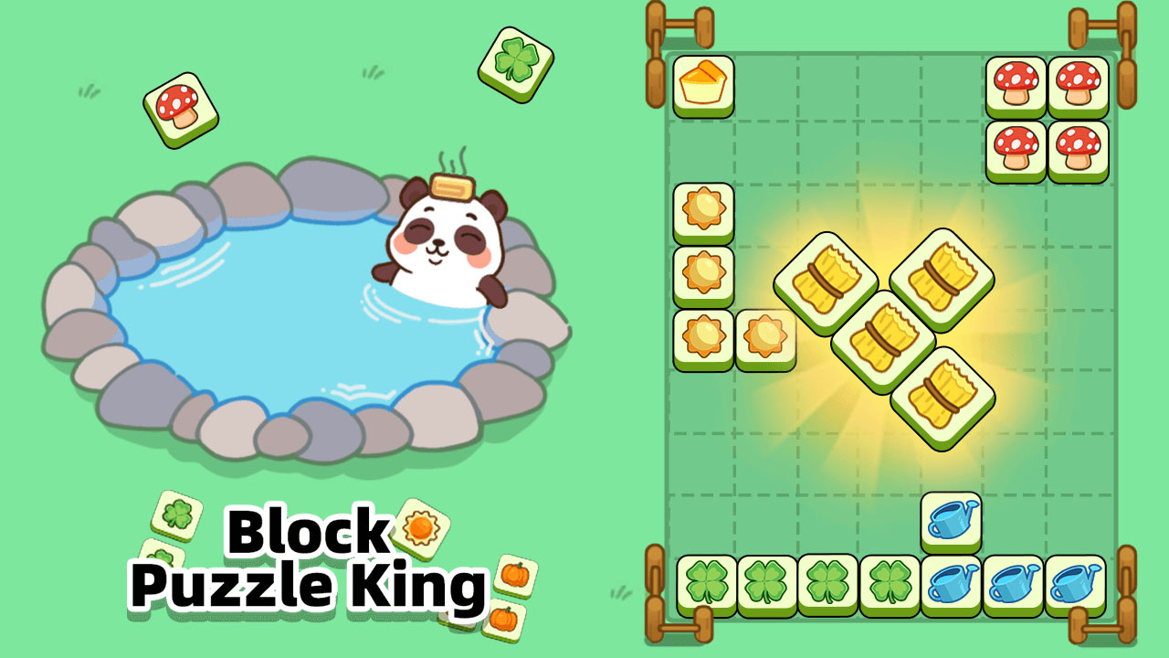 Block Puzzle King — Block-fitting line puzzle